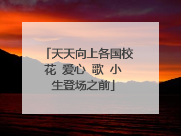 天天向上各国校花 爱心 歌 小生登场之前