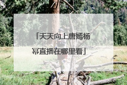 天天向上唐嫣杨幂直播在哪里看