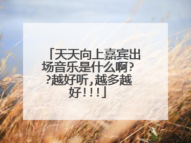 天天向上嘉宾出场音乐是什么啊??越好听,越多越好!!!