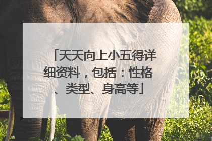 天天向上小五得详细资料，包括：性格、类型、身高等