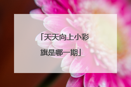 天天向上小彩旗是哪一期