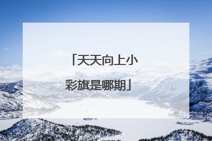 天天向上小彩旗是哪期