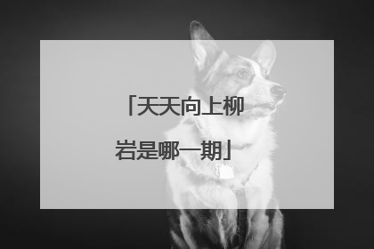 天天向上柳岩是哪一期