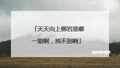 天天向上柳岩是哪一期啊，找不到啊