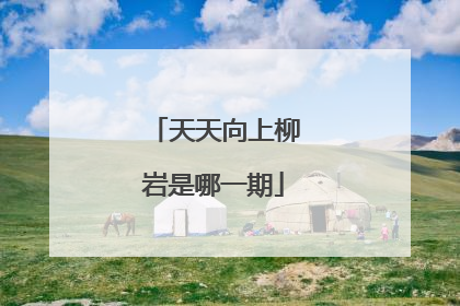 天天向上柳岩是哪一期