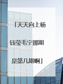 天天向上杨钰莹毛宁那期是第几期啊