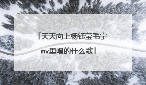 天天向上杨钰莹毛宁mv里唱的什么歌