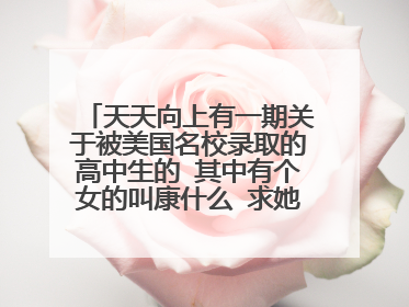 天天向上有一期关于被美国名校录取的高中生的 其中有个女的叫康什么 求她的演讲稿