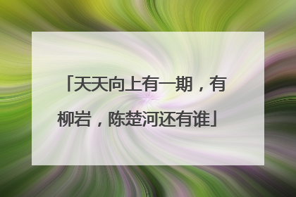 天天向上有一期，有柳岩，陈楚河还有谁