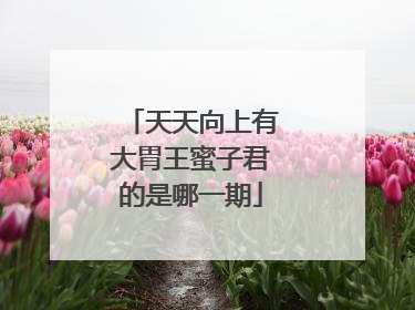 天天向上有大胃王蜜子君的是哪一期