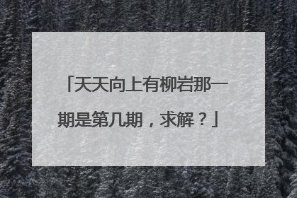 天天向上有柳岩那一期是第几期，求解？