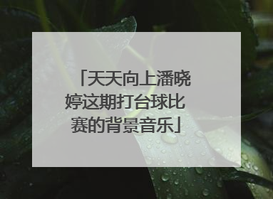 天天向上潘晓婷这期打台球比赛的背景音乐