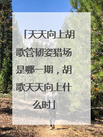 天天向上胡歌管韧姿猎场是哪一期,胡歌天天向上什么时