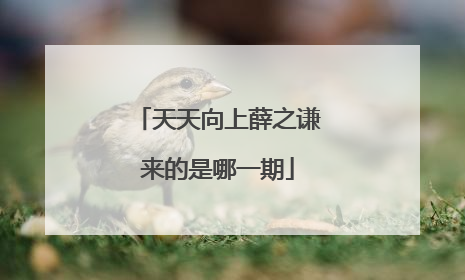 天天向上薛之谦来的是哪一期