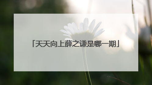 天天向上薛之谦是哪一期