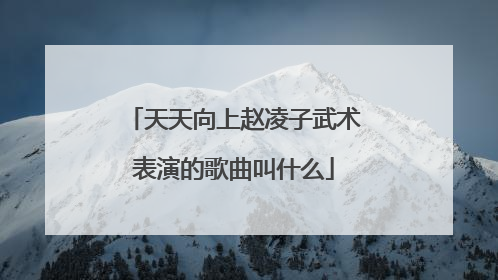 天天向上赵凌子武术表演的歌曲叫什么
