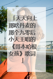 天天向上那啥丹麦的那个九零后小天王唱的《哥本哈根女孩》歌词