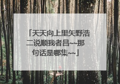 天天向上里矢野浩二说顺我者昌~~那句话是哪集~~