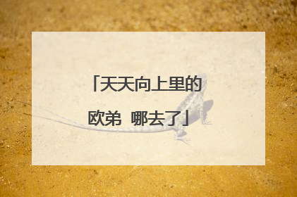 天天向上里的欧弟 哪去了