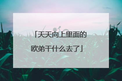 天天向上里面的欧弟干什么去了