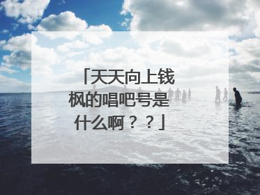 天天向上钱枫的唱吧号是什么啊？？