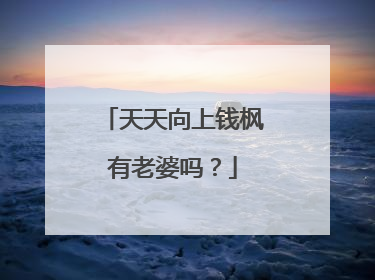 天天向上钱枫有老婆吗?