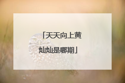 天天向上黄灿灿是哪期