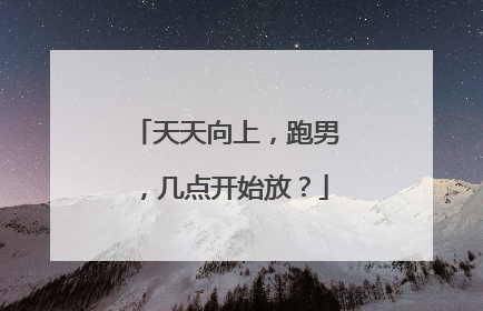 天天向上，跑男，几点开始放？