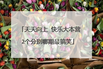 天天向上 快乐大本营2个分别哪期最搞笑