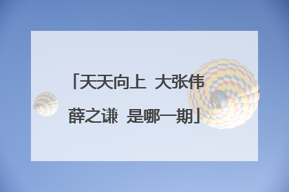 天天向上 大张伟 薛之谦 是哪一期