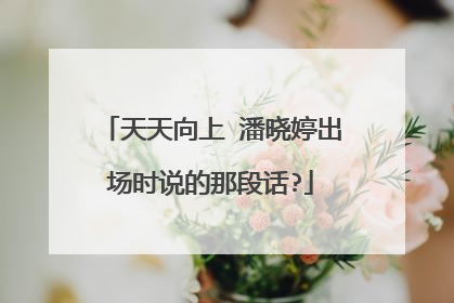 天天向上 潘晓婷出场时说的那段话?