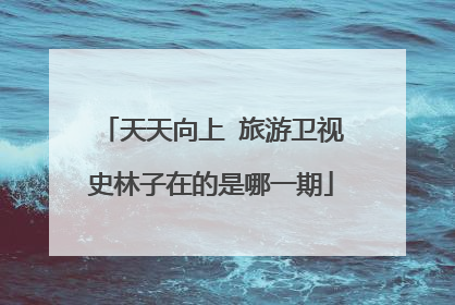 天天向上 旅游卫视史林子在的是哪一期