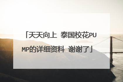 天天向上 泰国校花PUMP的详细资料 谢谢了