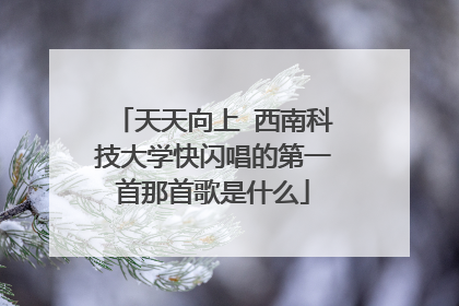 天天向上 西南科技大学快闪唱的第一首那首歌是什么