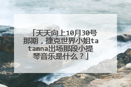 天天向上10月30号那期,捷克世界小姐tatamna出场那段小提琴音乐是什么?