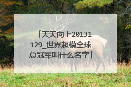 天天向上20131129_世界超模全球总冠军叫什么名字