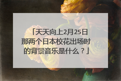 天天向上2月25日那两个日本校花出场时的背景音乐是什么?