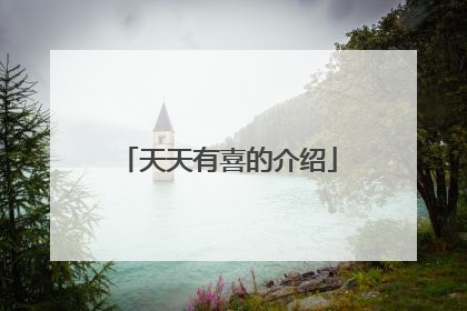 天天有喜的介绍