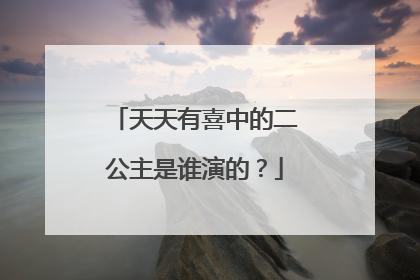 天天有喜中的二公主是谁演的？