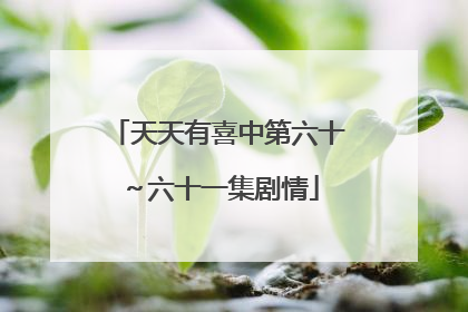 天天有喜中第六十~六十一集剧情