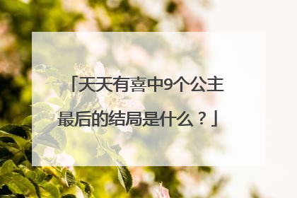 天天有喜中9个公主最后的结局是什么?