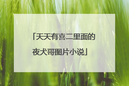天天有喜二里面的夜犬哥图片小说