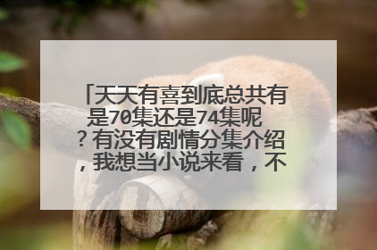 天天有喜到底总共有是70集还是74集呢?有没有剧情分集介绍,我想当小说来看,不想看电视剧……