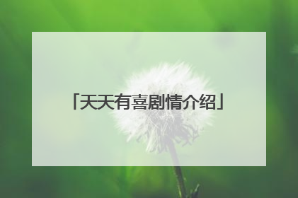 天天有喜剧情介绍