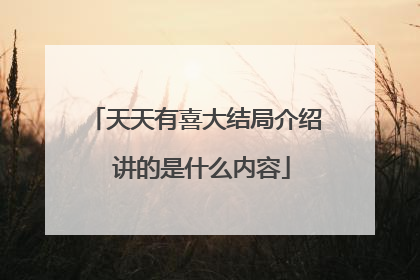 天天有喜大结局介绍 讲的是什么内容