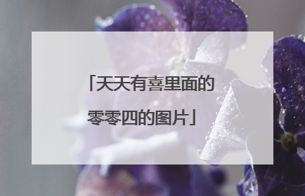 天天有喜里面的零零四的图片