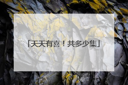 天天有喜!共多少集