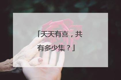 天天有喜,共有多少集?