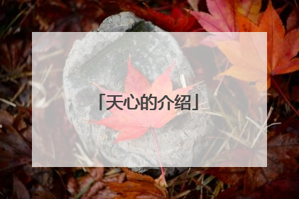 天心的介绍