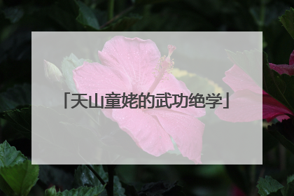 天山童姥的武功绝学